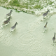 Illustration for article titled Fantastic aerial photos of Botswana make me wish I was there right now